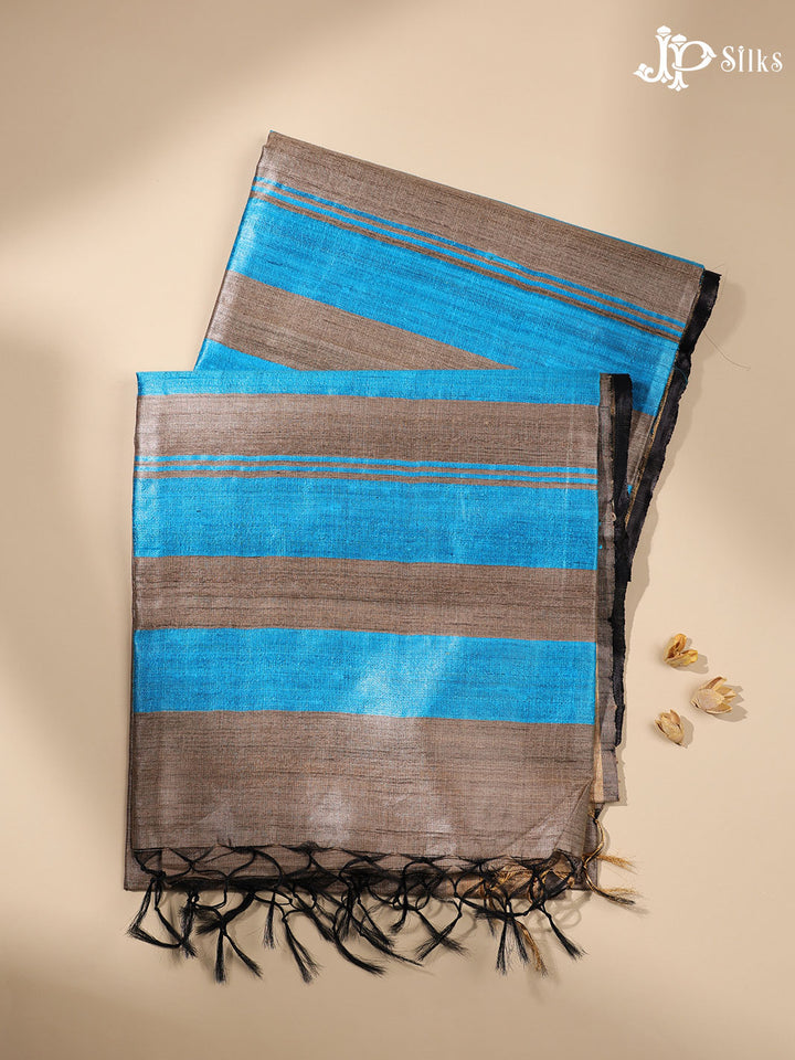 Beige and Blue Tussar Silk Saree - E39
