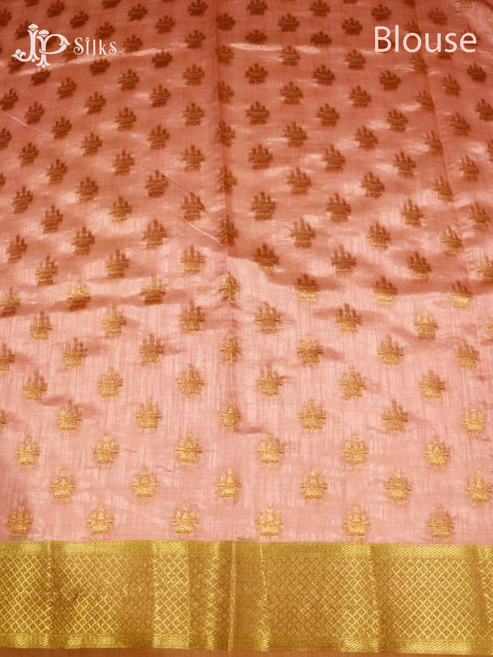 Multicolour & Gold Semi Tussar Saree - D4062-view4