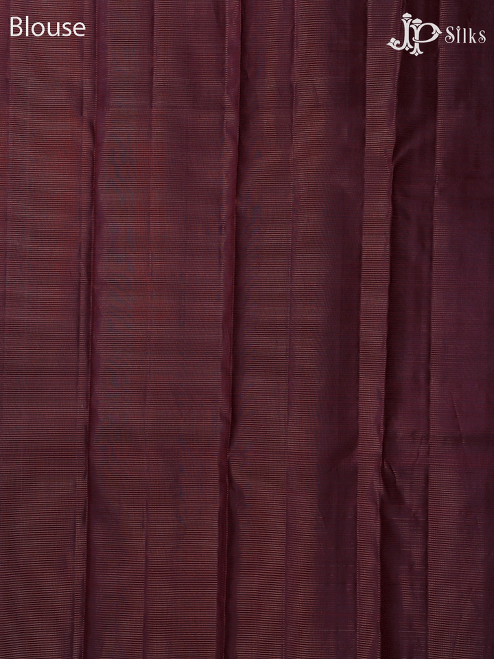 Brown Borderless Vaira Oosi Kanchipuram Silk Saree - E4696 - View 2