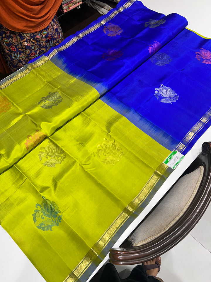 Green And Blue Kanchipuram Silk Saree - D47