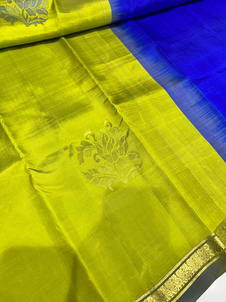 Green And Blue Kanchipuram Silk Saree - D47