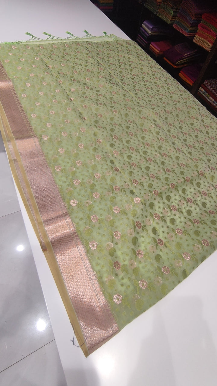 Light Green Semi Banarasi Saree - E954