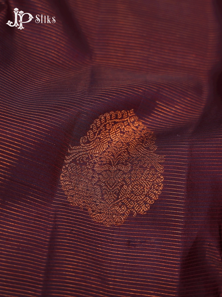 Brown Borderless Vaira Oosi Kanchipuram Silk Saree - E4696 - View 6