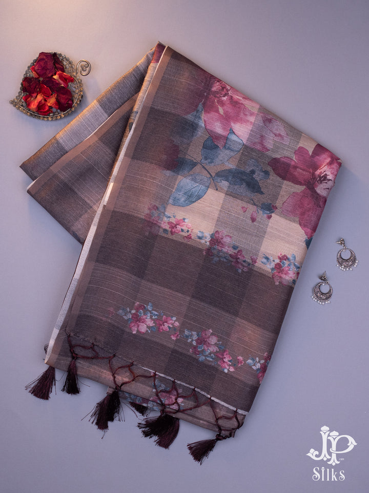 Beige and Brown Tussar Fancy Saree - E1499
