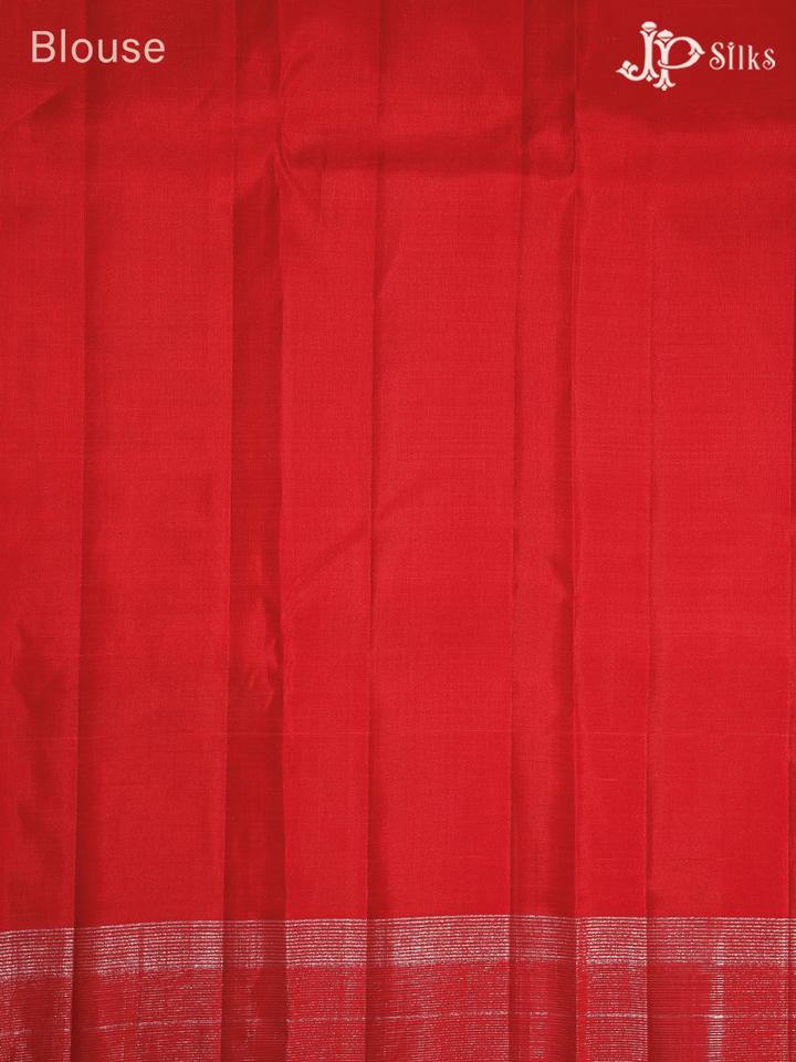 Black Red Leaf Design Kanchipuram Silk Saree - E5219 - View 3