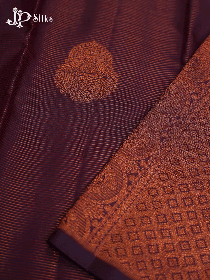 Brown Borderless Vaira Oosi Kanchipuram Silk Saree - E4696 - View 7