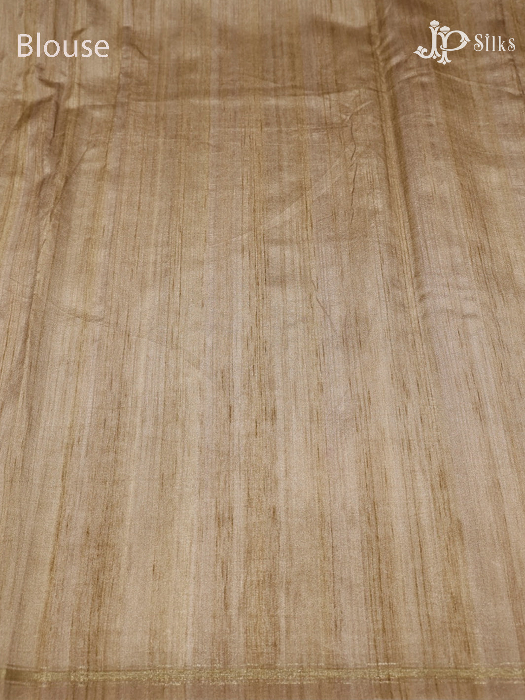Beige Semi Tussar Silk Saree - E3234