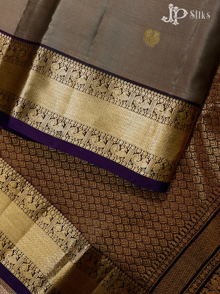 Light Brown & Deep Violet Pure Silk Mix Saree - G368-view4