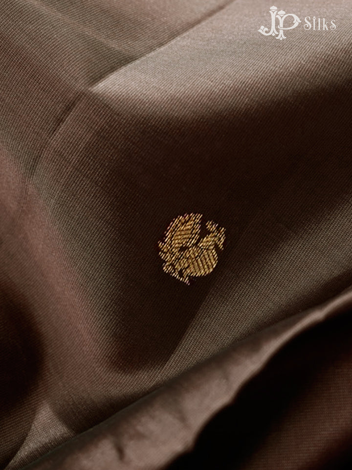 Light Brown & Deep Violet Pure Silk Mix Saree - G368-view3