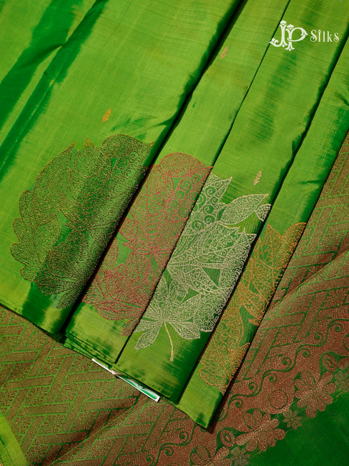 light green Kanchipuram Silk Saree - A12940-view4