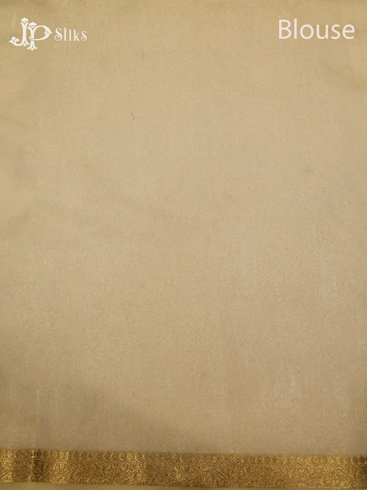 Off-White Linen Tissue Saree - G603-view5