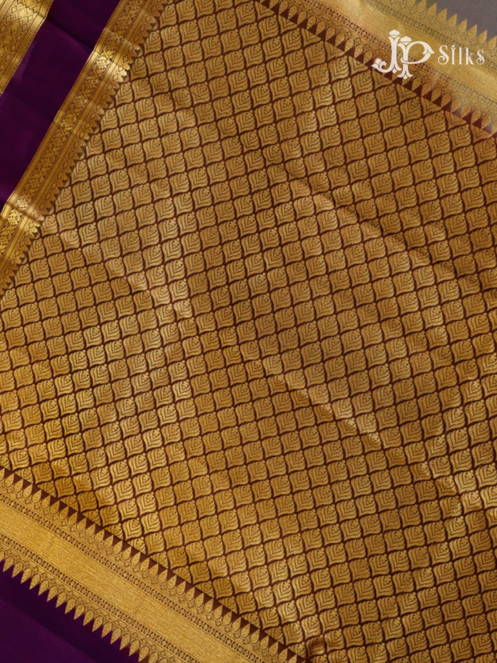 Grey & Coffee Brown Pure Silk Mix Saree - G837-view4