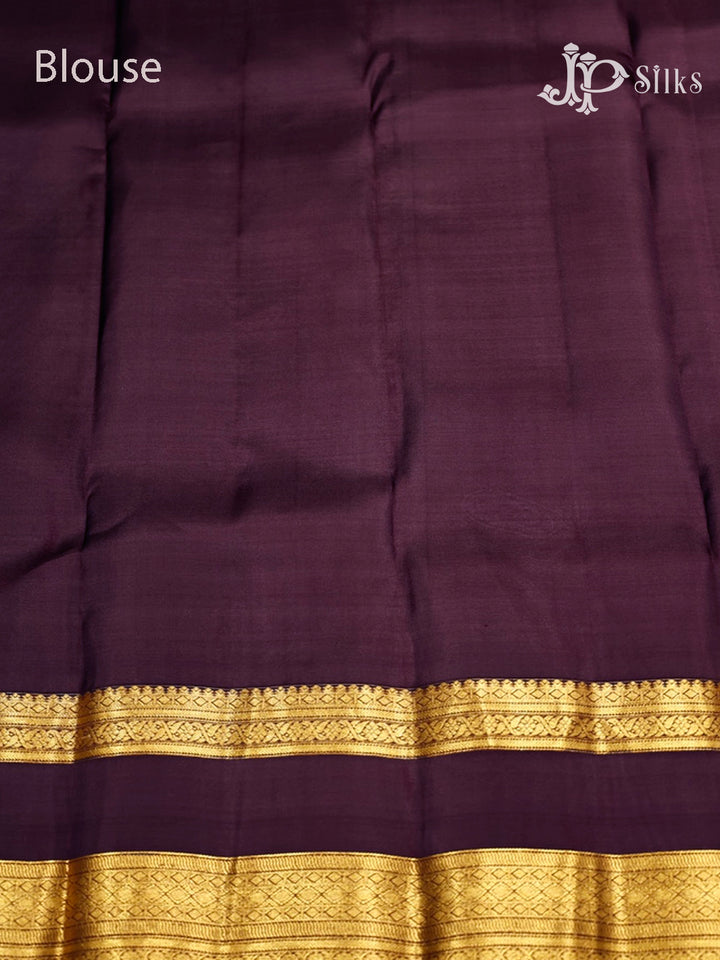 Grey & Coffee Brown Pure Silk Mix Saree - G837-view5