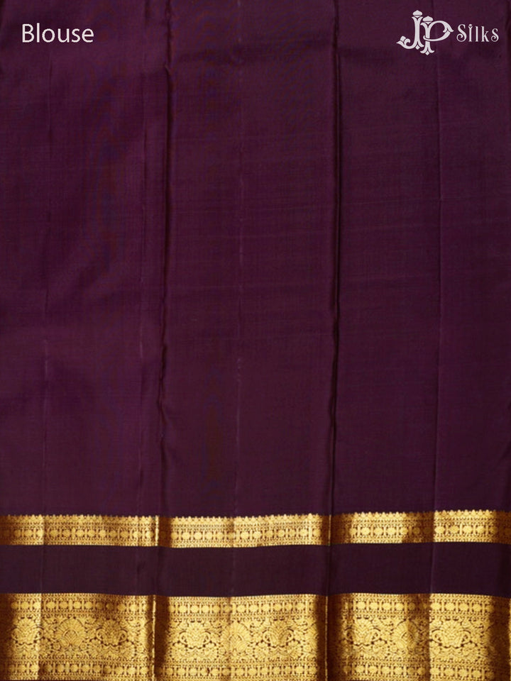 Dark Olive Green & Midnight Violet Kanchipuram Silk Saree - G838-view6