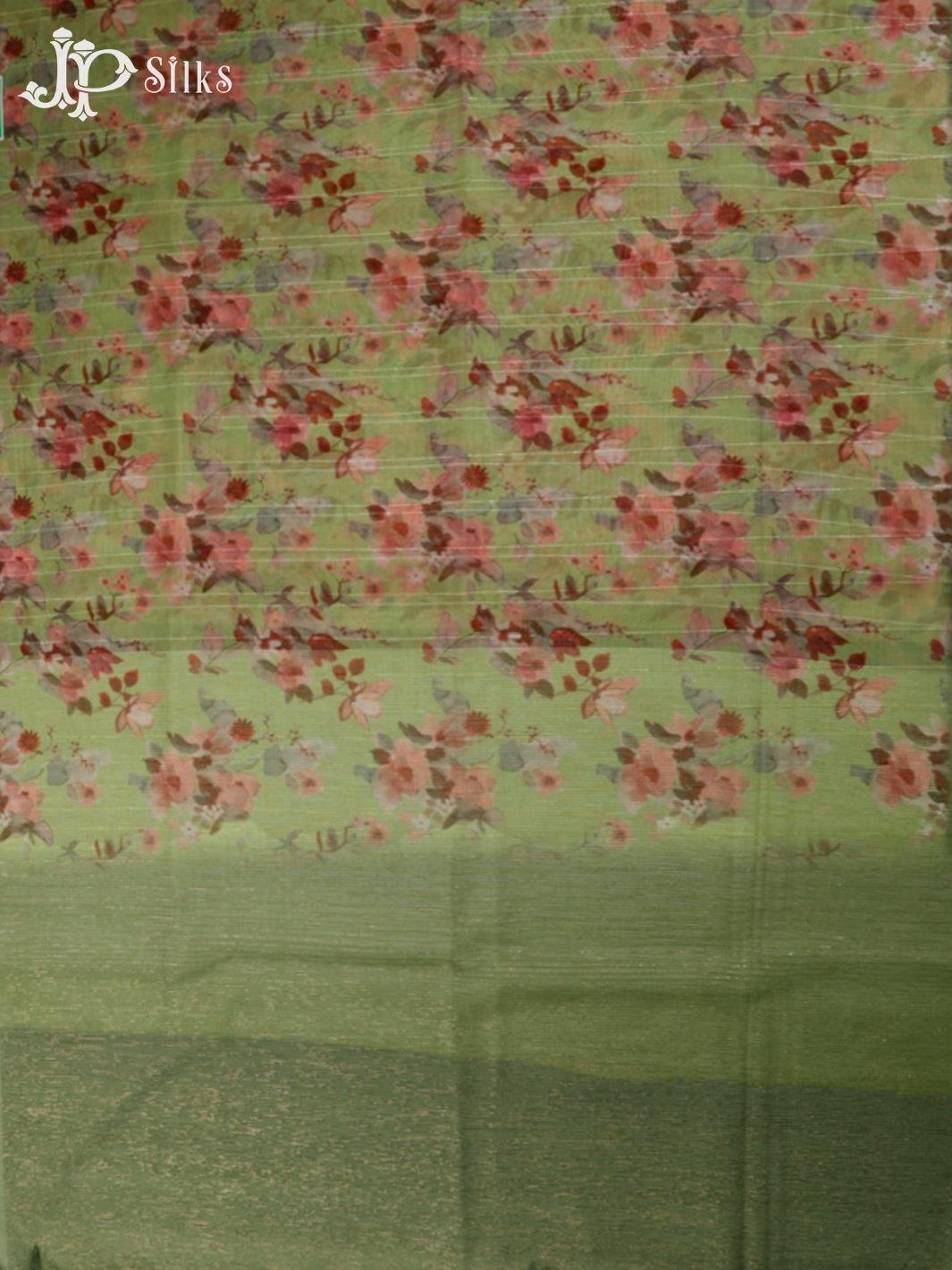 Green Semi Organza - Saree E5806-view4