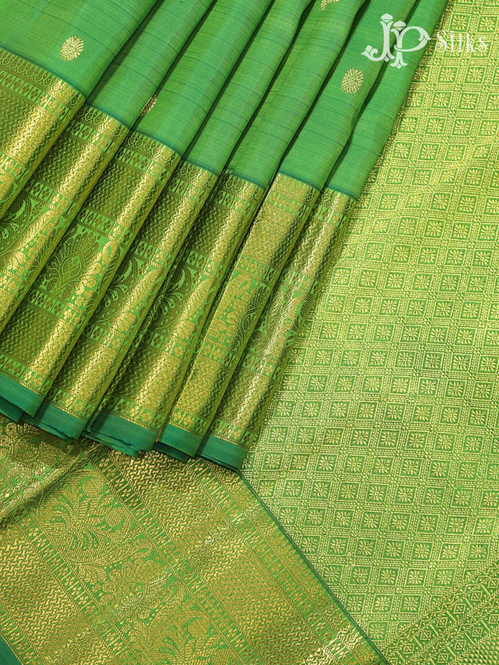 Light Green Kanchipuram Silk Saree - G846