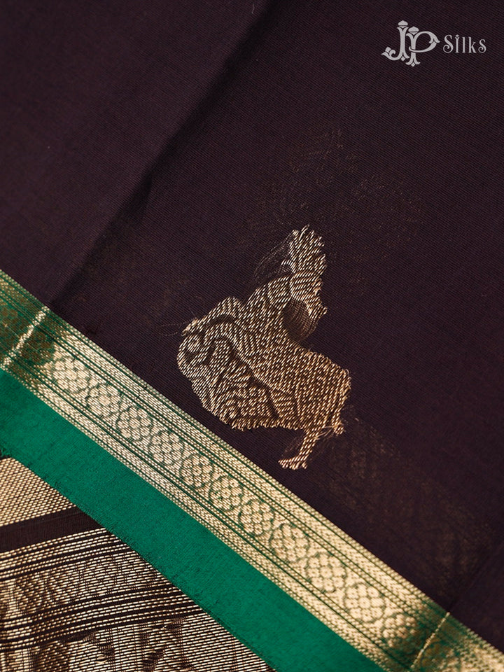 Raisin Black Kanchi Cotton Saree - G50
