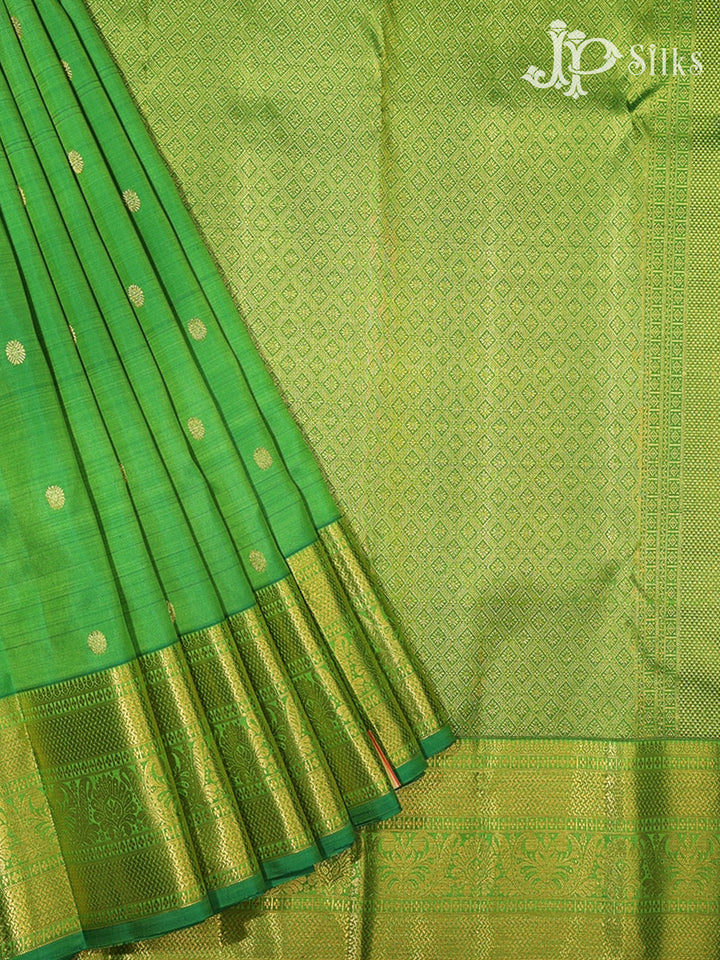 Light Green Kanchipuram Silk Saree - G846