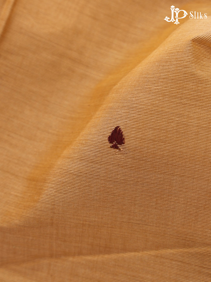 Wheat Beige Theni Cotton Saree - G885