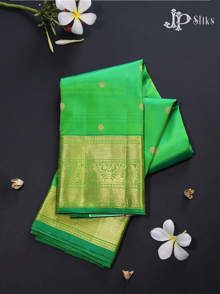 Light Green Kanchipuram Silk Saree - G846