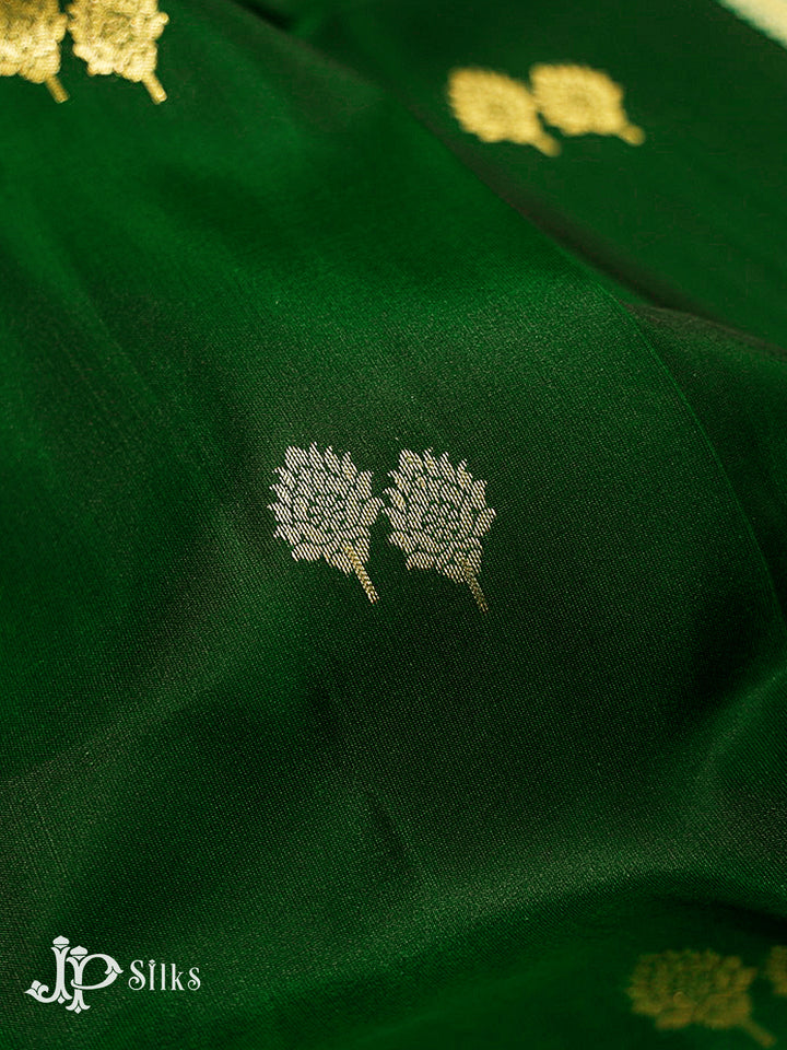 Bottle Green & Pastel Green Pure Silk Mix Saree - H24