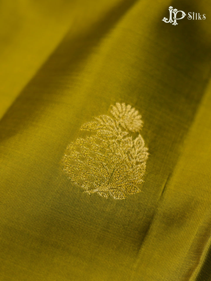 Moss Green And  Maroon Pure Silk Mixed Saree - F3557