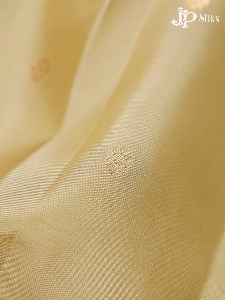 Beige And Maroon Pure Silk Mixed Saree - G65