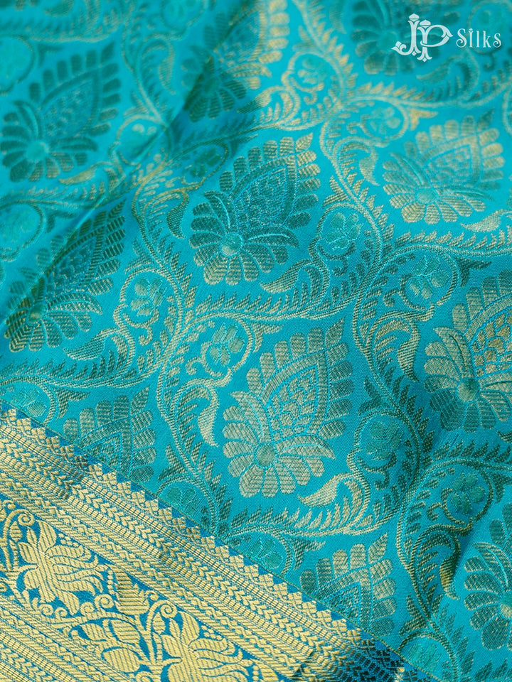 Sky Blue Kanchipuram Pure Silk Saree - D7761