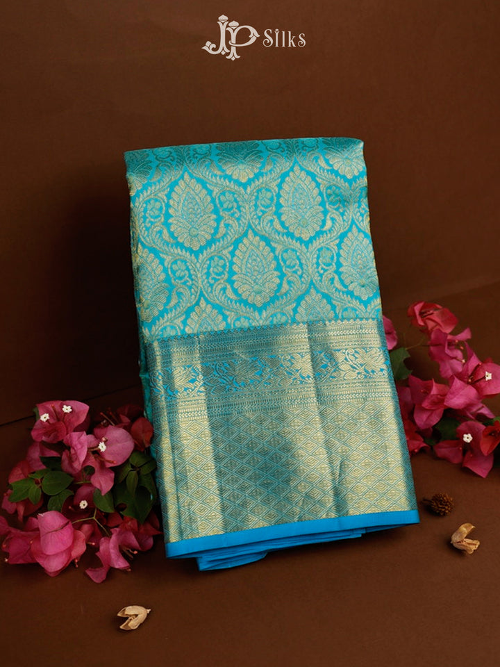 Sky Blue Kanchipuram Pure Silk Saree - D7761