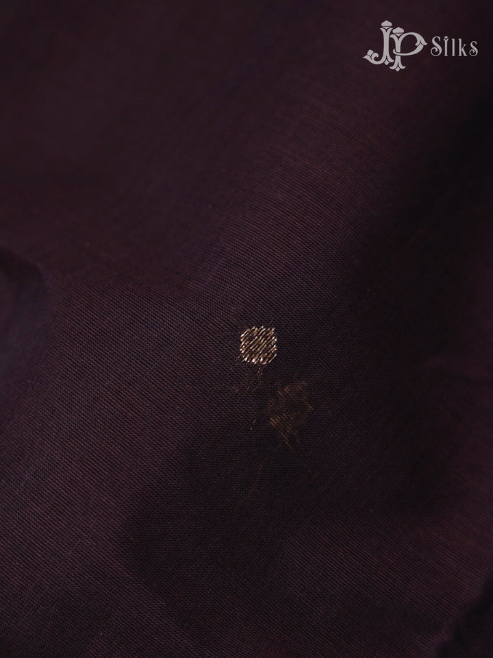Raisin Black Kanchi Cotton Saree - G50