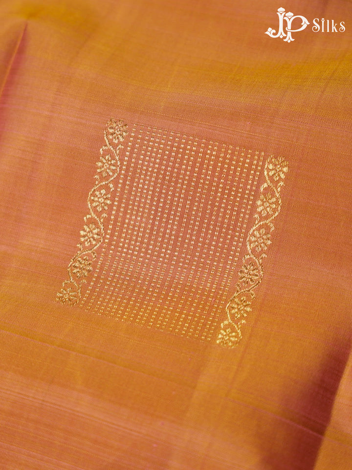 Dual shade Pink And Blue Kanchipuram Silk Saree - F434