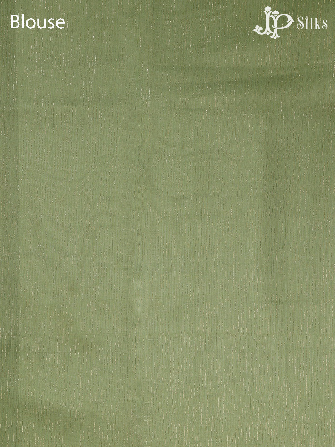 Green Semi Organza - Saree E5806
