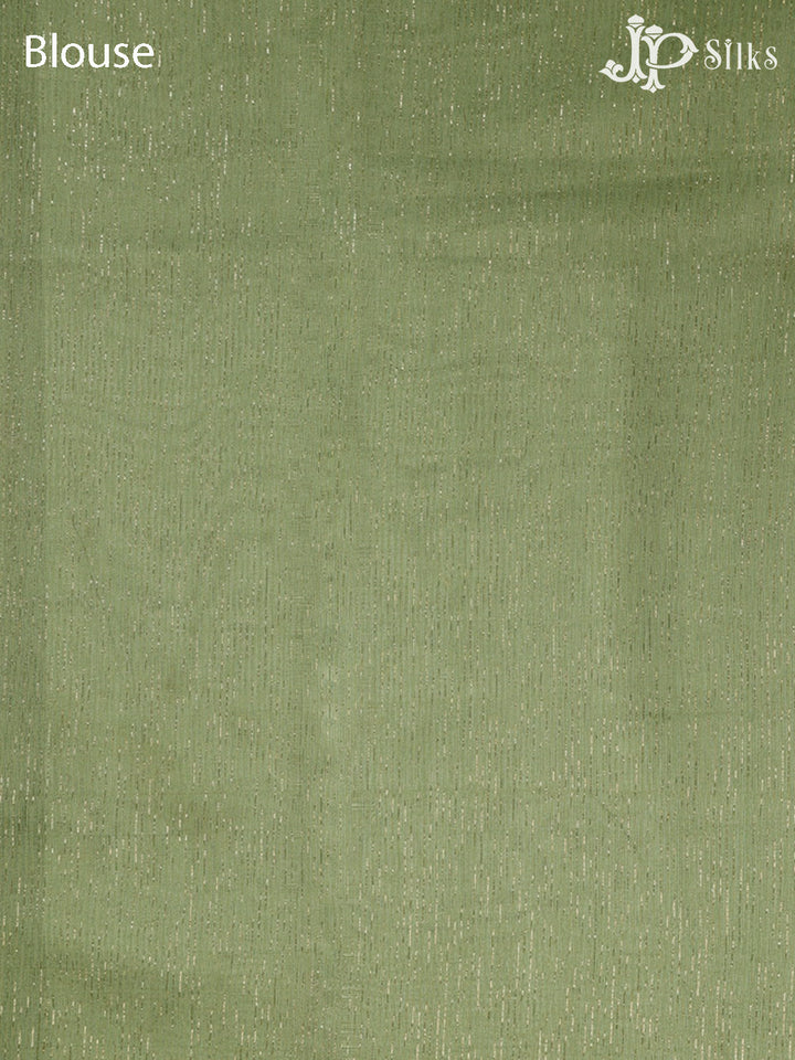 Green Semi Organza - Saree E5806