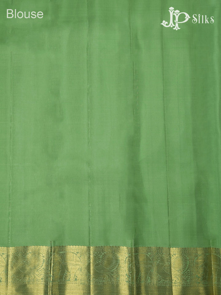 Light Green Kanchipuram Silk Saree - F3 - View 6