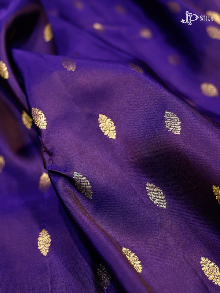 Ink Blue & Sage Green Pure Silk Mix Saree - G821-view-3