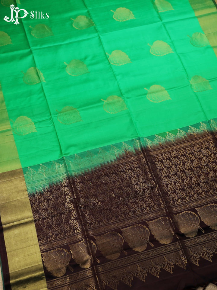 Harlequin Green with Coffee Brown Soft Silk Saree - D5874 - View 3