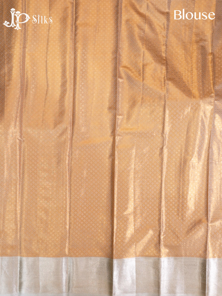 Rust Orange and Golden Beige Art Silk Saree - H18