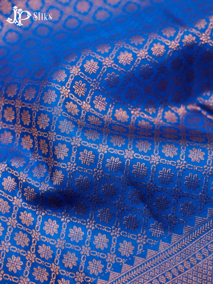 Blue Kanchipuram Pure Silk Saree - D1064