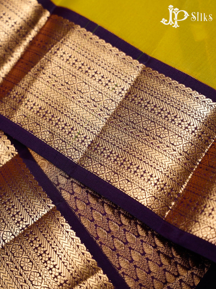 Lemon Green and Violet Pure Silk Mixed Saree - G372