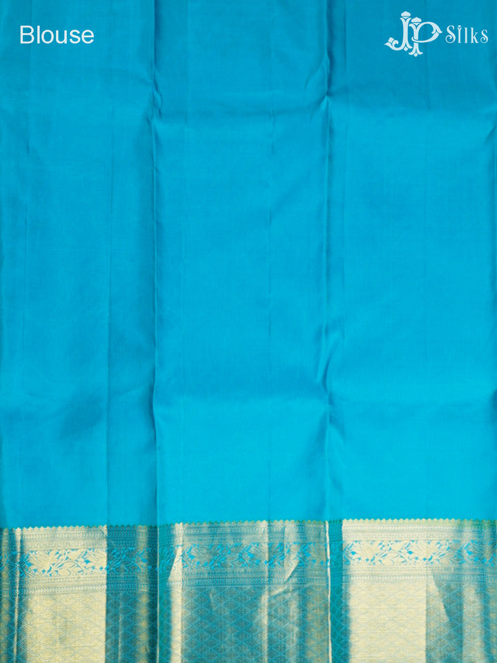 Sky Blue Kanchipuram Pure Silk Saree - D7761