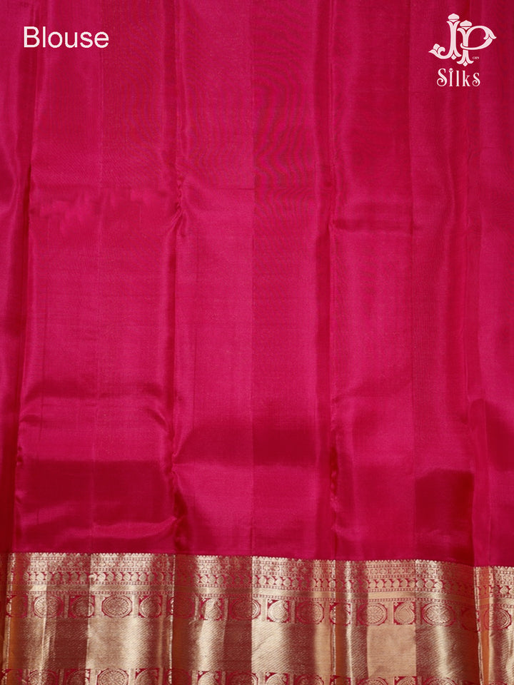 Pinky Beige Pure Silk Mixed Saree - G370-view6