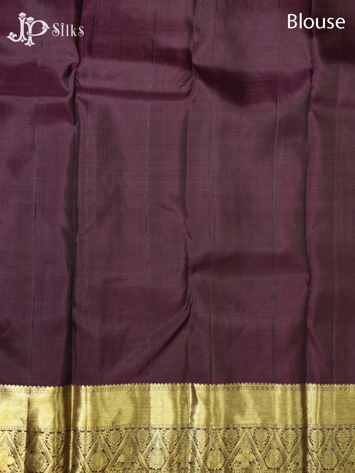 Rust Orange & Brown Kanchipuram Silk Saree - G875