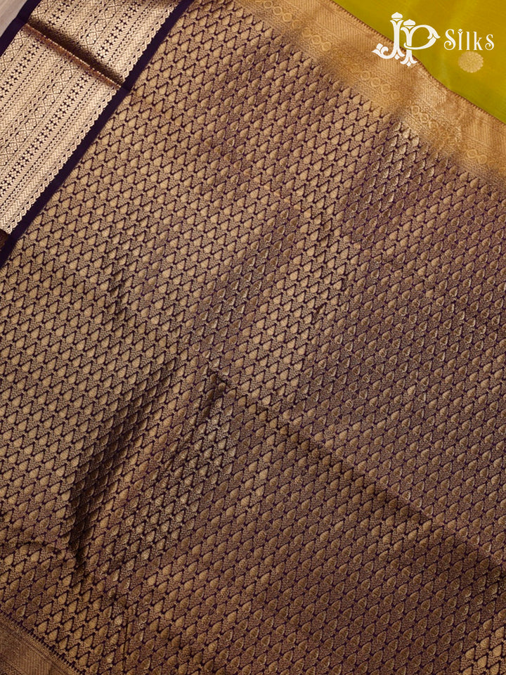 Lemon Green and Violet Pure Silk Mixed Saree - G372