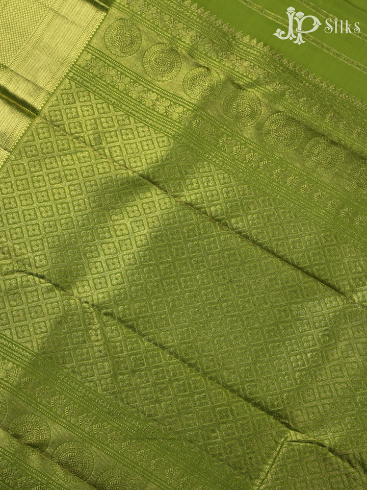 Light Green Kanchipuram Silk Saree - E4701 - View 4