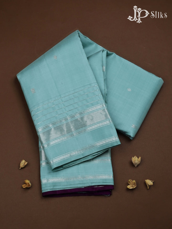 Pastel Blue with Deep Violet Kanchipuram Silk Saree - F2454 - View 1