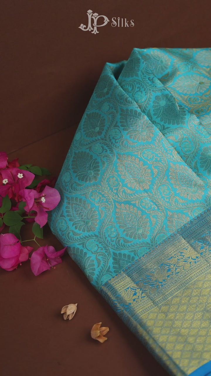 Sky Blue Kanchipuram Pure Silk Saree - D7761